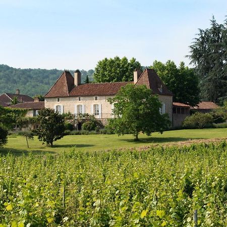 Chateau Gautoul Puy-lʼÉvêque Zewnętrze zdjęcie